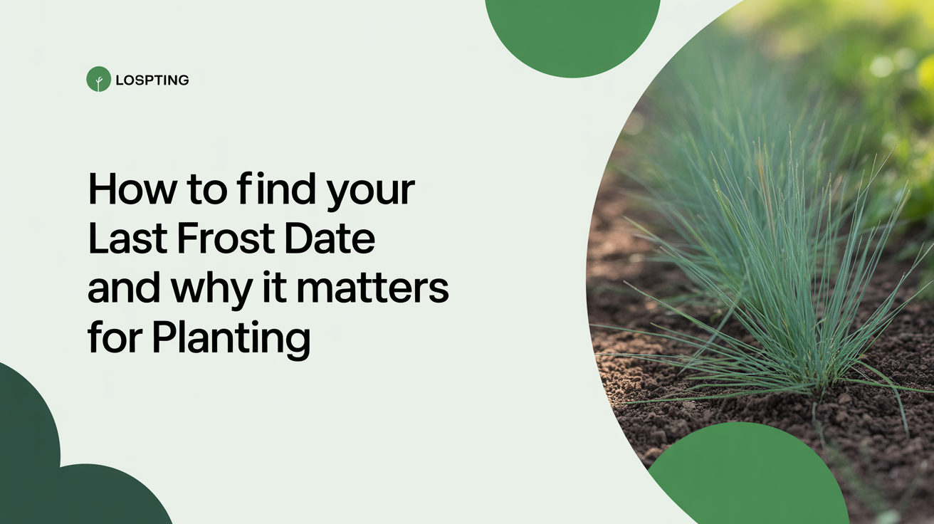 How to Find Your Last Frost Date and Why It Matters for Planting
